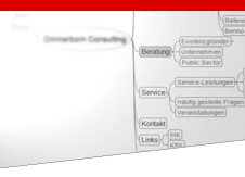 Ihre Unternehmensberatung - Ommerborn Consulting